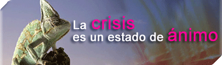 DMC-track: Distribuci�n-Marcas-Comprador