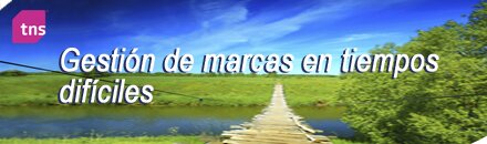 Gesti�n de Marcas en Tiempos Dif�ciles